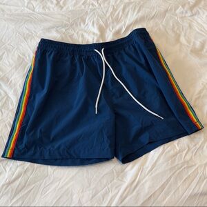 Chubbies Swim Trunks with Rainbow Accent Stripes (5.5” inseam)